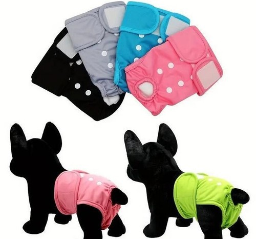 Trendige waschbare hundewindel - trendige,