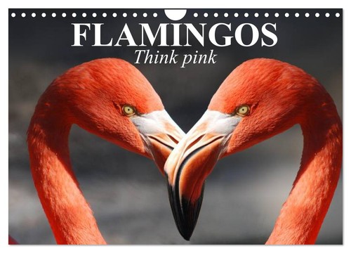 Flamingos think pink - flamingos,