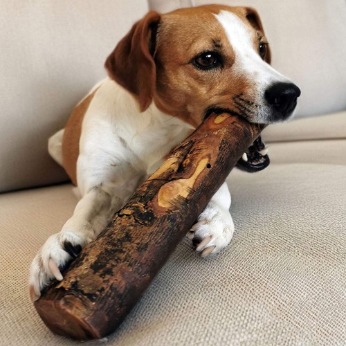 Olivenholz kauknochen hunde - kauknochen,