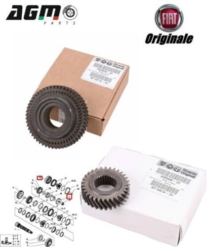 Kit getriebe antriebsrad - kit, getriebe-antriebsrad