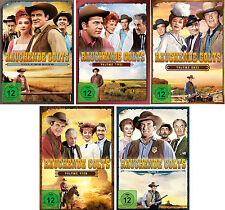 33 DVDs * RAUCHENDE COLTS -
