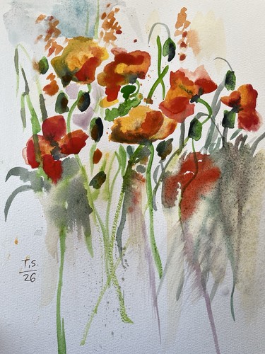 Mohn bild aquarell 30 - ,