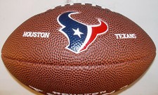 NFL Team Logo Mini Football