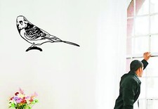 Wandtattoo: WELLENSITTICH, Vogel, Haustier, Ziervogel //Größen- u. Farbwahl