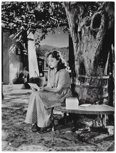 Paulette goddard der - goddard, große