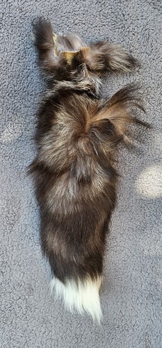 Stück silberfuchs schwanz - stÜck,