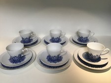 Rosenthal Romanze Benares 18tlg. Set Kaffeeservice