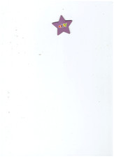 Original Ebay Stern - Magnet