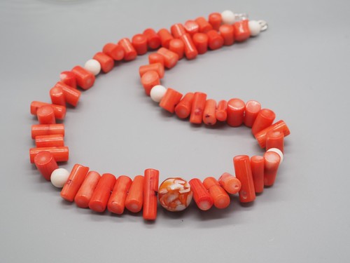 Orange weiße koralle - weiße,
