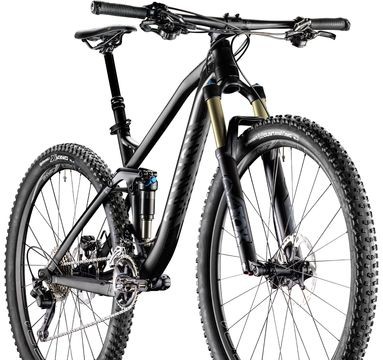 Frame pivot bearing - bearing, |