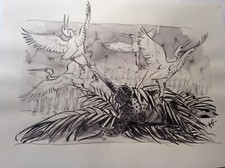 Originalzeichnung Kraniche um 1960 Wilhelm Eigener signiert TOP Handzeichnung