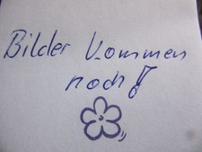 2   . Vintage Unterrock /