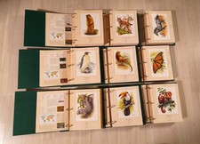 Illustrierte Edition Tierwelt