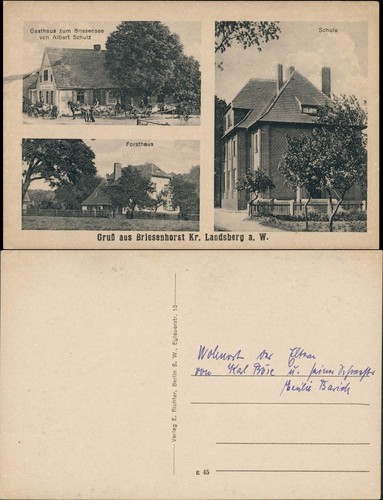 Briesenhorst wąbrzeźno - briesenhorst,