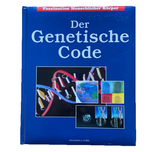 Faszination menschlicher - faszination,