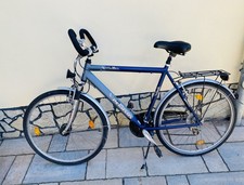 Pegasus Herren Fahrrad Silber