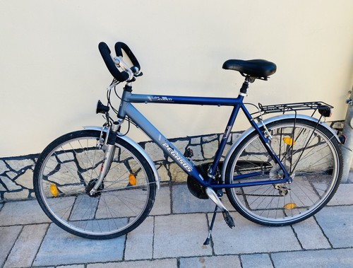 Pegasus herren fahrrad silber - herren,