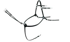 Passier Vorderzeug Corvus