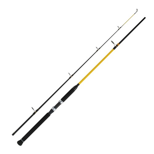 Wft never crack big - never, fish