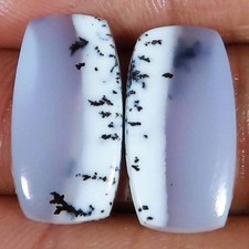 16.90 CT Natürlich Dendrite