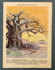 Natur-Bilder + Berliner Morgenpost + Sammelkarten + 1933+Bild  25 / 2504