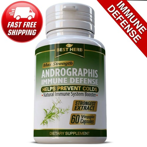 Pure andrographis supplement - andrographis,