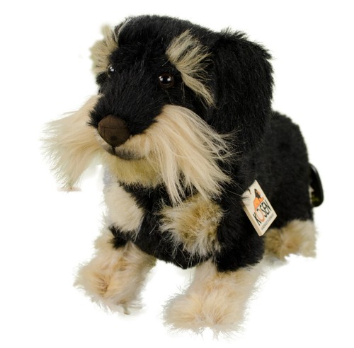 Kösen hund rauhaardackel - kösen,