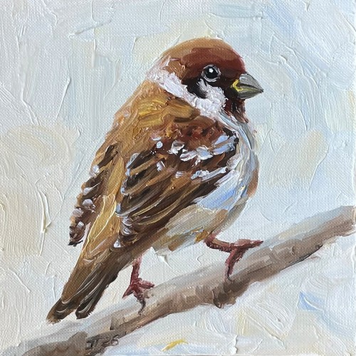 Vogel spatz original - vogel,