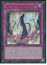 YU GI OH ERBLÜHEN DER