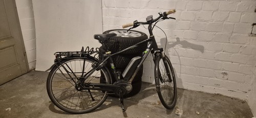 Herren bike pegasus gebraucht - pegasus,