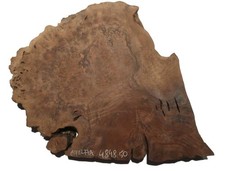 1x Nussbaum Wurzelholz Maser Baumscheibe 48x48cm x 50mm