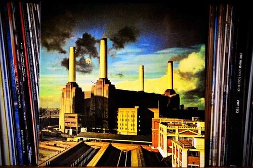 Pink floyd animals album - floyd, lp