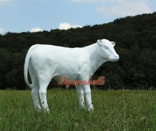 Kalb Kälbchen komplett weiß