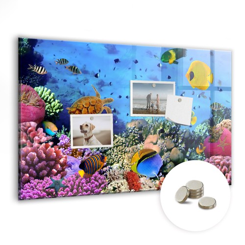 Glas magnettafel für die - glas, wand