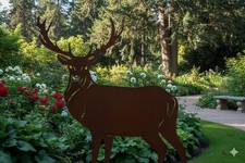 Edelrost Hirsch stehend