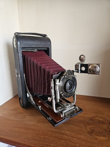 Antike kodak folding pocket - antike,