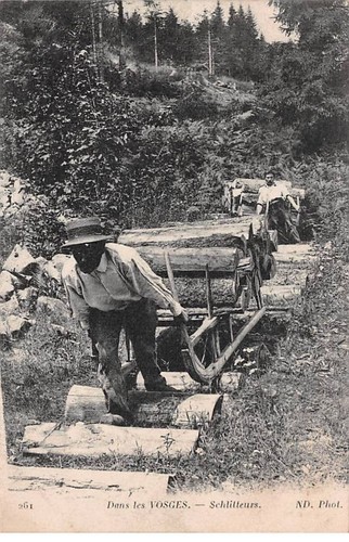 Landwirtschaft 80620 - landwirtschaft,