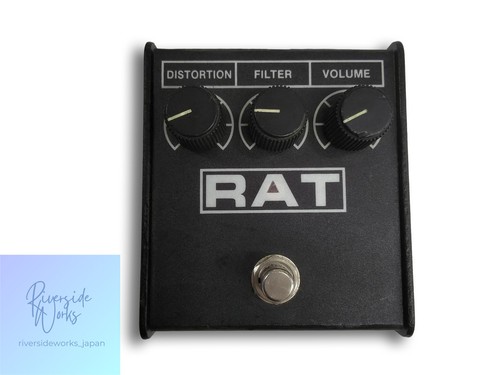 Proco rat - proco,