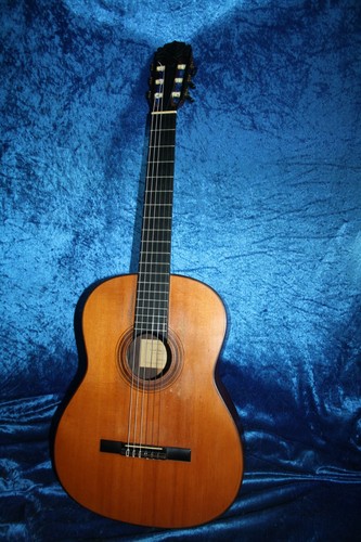 Schöne alte meister - meister, gitarre