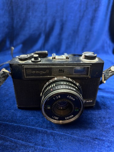 Vintage seagull analoge - vintage,