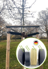 BAUMGURT-BAUMBAND-GURTBAND-POL