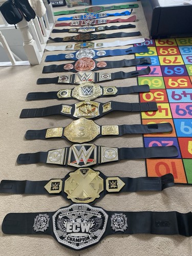 Wwe kinder wrestling - 15,