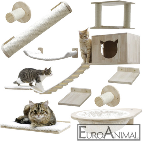 Katzen kletterwand - katzen,