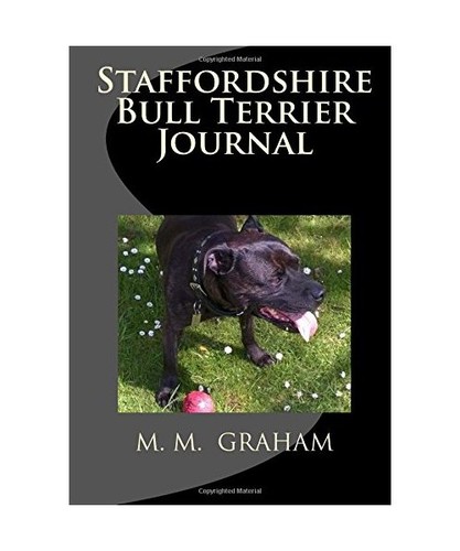 Staffordshire bull terrier - bull,