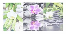 3er Set Wandbild je 20x30cm