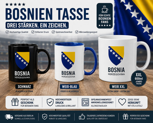 Fußball fan bosnien - em,