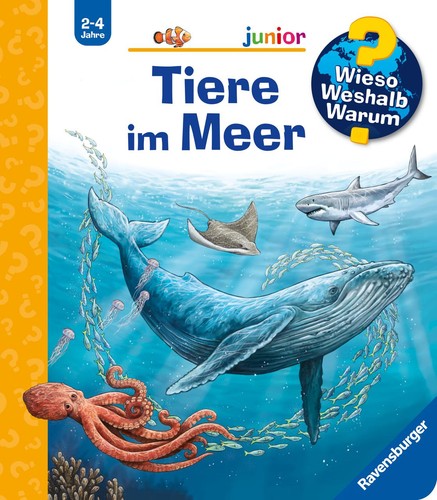 Anita van saan - van, saan,