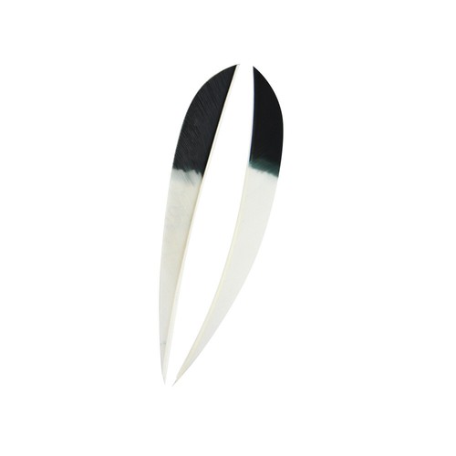 Stück naturfedern zoll - 50,