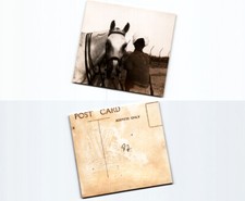 (n22008097)   Pferd  Italien Besetzung britisch Somaliland, 1940, Photopost