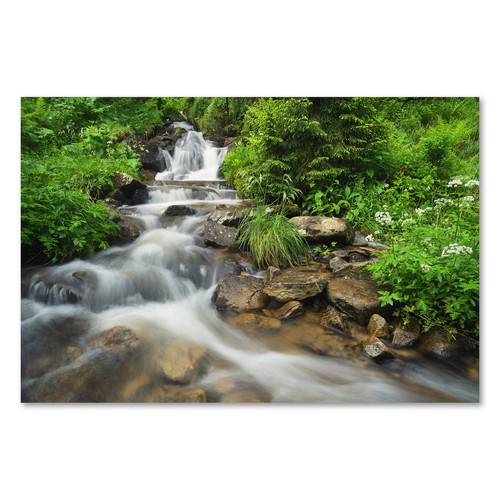 Postereck 3135 poster leinwand - postereck,